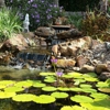 Lynn's Landscaping Inc. gallery