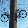 Moore's Bike Shop gallery