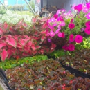 Growing Seasons Nursery Inc. - Nurseries-Plants & Trees