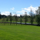 Bethany Vineyard & Winery