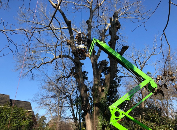 Schnell Tree Service LLC