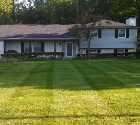 Dayton Lawn Mowing Inc