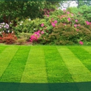 sod and lawn - Sod & Sodding Service