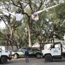 Whackem & Stackem Tree Service - Tree Service