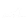 Baci & Buca Luxury Mobile Pet Spa gallery