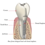 Dental Arts Group