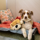 Connie Winters Pet Resort
