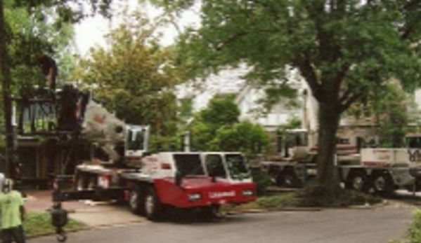 Walt's Tree Experts - Silver Spring, MD