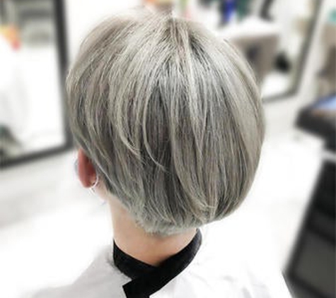 Park Jun Korean Hair Salon Straight Perm Color Wedding - Niles, IL