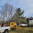 Affordable Tree Service