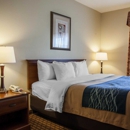 Comfort Inn & Suites Harrisonville - Motels
