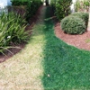 Affordable Grass Painting Service gallery
