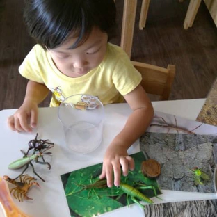 Learning Avenues Child Care Centre and Kindergarten - Merrimac, QLD