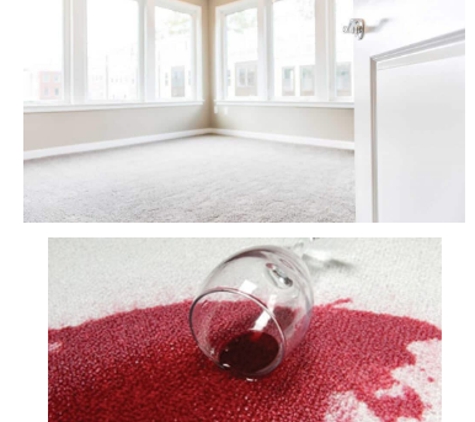 Stain Busters Carpet Cleaning & Pest Control