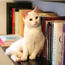 School Book Rentals - Used & Rare Books