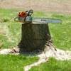 Best Stump Removal gallery