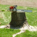 Best Stump Removal - Stump Removal & Grinding