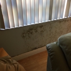 National Home Inspection & Mold Services
