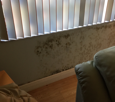 National Home Inspection & Mold Services - Boynton Beach, FL. This is only one area covered in black mold and was there prior to his inspection.