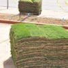 Cornett Grass Sales & Installation gallery