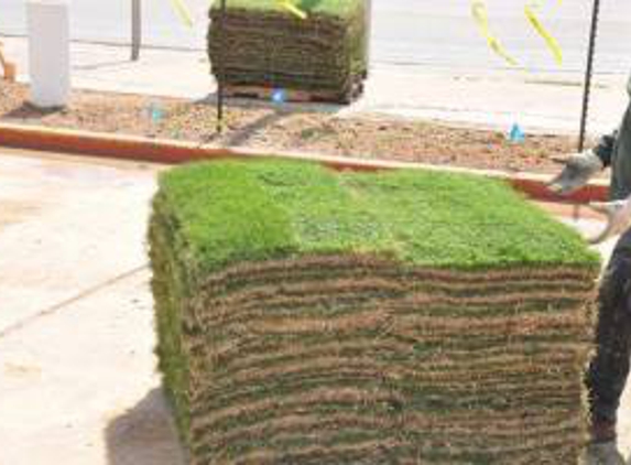 Cornett Grass Sales & Installation - Houston, TX