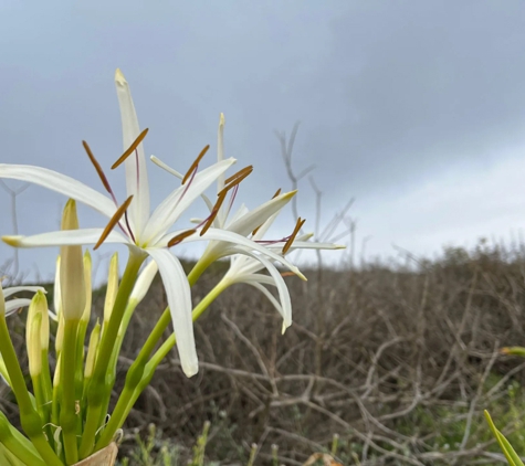 Bowden Family Funerals - Wyong, NSW