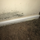 The Pointe at Msu - Real Estate Rental Service