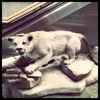 GTF - Great Falls International Airport gallery