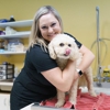 Cottner Creek Pet Clinic gallery