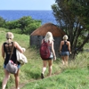 Maui Pacific Tours gallery