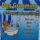 Dog's Bath & Beyond Inc