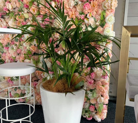 Jindalee Indoor Plant Service - Edgeworth, NSW