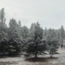 Photo #51