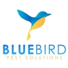Bluebird Pest Solutions gallery