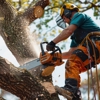 Hampton Turf and Tree Care gallery