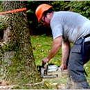 All American Tree Service - Tree Service