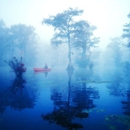 Merchants Millpond State Park - State Parks