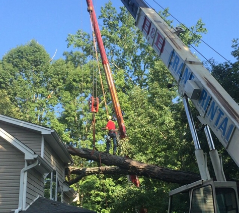 Holder & Jones Tree Service LLC - Cleveland, TN