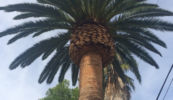 Artistic Arbor Gardens - Lakeside, CA