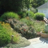 Action Lawn & Landscape gallery