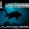Alpha Divers gallery