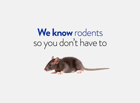 Termitrust Pest Control Brisbane - Zillmere, QLD
