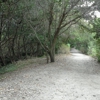 Weedon Island Preserve gallery
