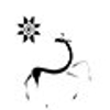 Dance Of The Deer Foundation Center For Shamanic Studies gallery
