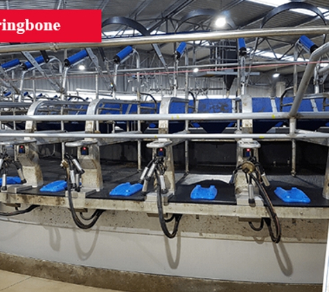 Agri Tech Services - Devonport, TAS. Herringbone