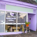 Expressions Hair Studio On Bellevue