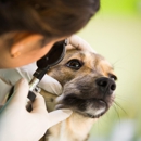 Banfield Pet Hospital - Pet Services