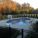 Blue Dolphin Pools Of Decatur - Swimming Pool Dealers