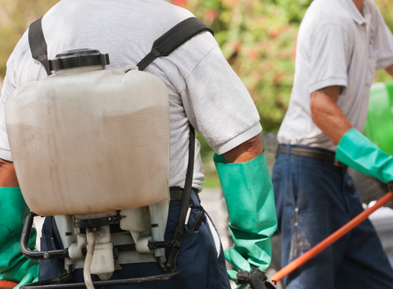 Hamiltons' Pest & Weed Control - Jerusalem, SA. We offer chemical spraying as well as baiting systems for termite control.