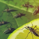 Eco Systems Pest Management - Pest Control Equipment & Supplies